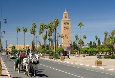 Découverte de la ville de Marrakech