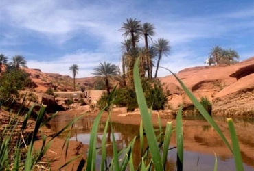 Excursion départ Agadir  à Taroudant - Tiout