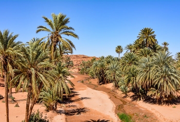 Excursion départ Agadir à Tiout